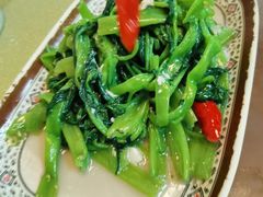 腐乳空心菜-聂记粤菜馆(鼓西路店)