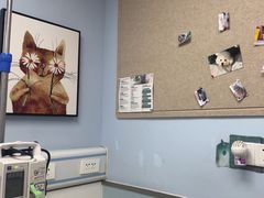 -纳吉亚猫专科动物诊疗中心(蒋宅口分院)