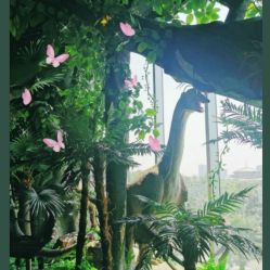 -恐龙探索乐园(磁器口店)