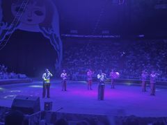 -俄罗斯国家大马戏团