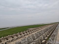 -南汇嘴观海公园