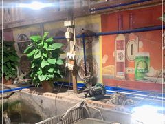-区海鸡场饭店(石壁店)