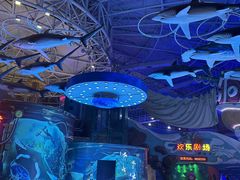 -烟台海昌鲸鲨海洋公园