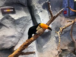 -Zoolung Zoolung动物主题公园(海信广场店)