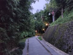 -仙人山公园