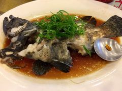 -金河半岛园林酒家(金融城店)