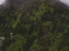 -苍山感通索道