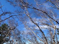 -白草畔自然风景区