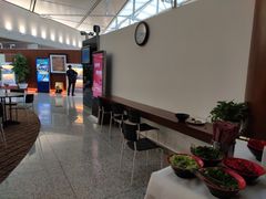 -虹桥机场V2贵宾休息室