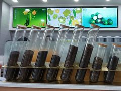 -雾与山茶(大禹城店)