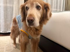 -文儒九号·闽菜馆(三坊七巷店)