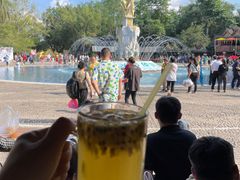 -西双版纳傣族园