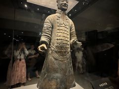 -秦始皇帝陵博物院(兵马俑)