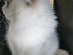 -美联众合24小时·皮肤科·外科·全科诊疗中心(华苑分院)
