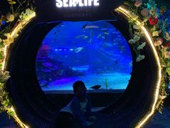 -沈阳海洋探索中心