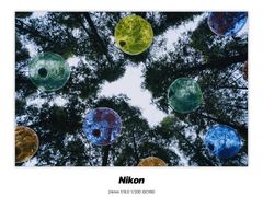 -黄海国家森林公园