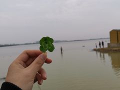 -瑶湖郊野森林公园