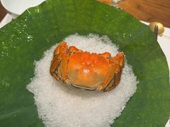 -觀芷隐轩