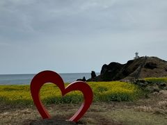 -涉地可支