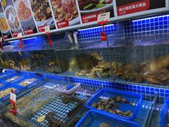 水产区-必点海鲜·鲅鱼水饺(鞍山西道店)