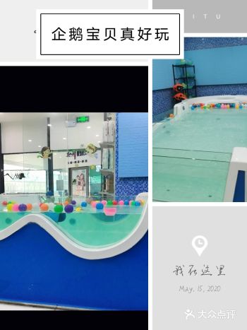 要问婴儿游泳哪家强，当选企鹅宝贝