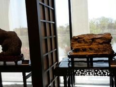 android_upload_pic-中华赏石园