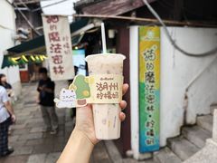 -猫的魔法密林(衣裳街店)