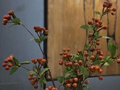 -庆德堂中医馆·小儿推拿(江北店)