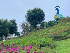 -东莞植物园