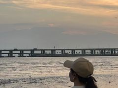 -宝安西湾红树林湿地公园