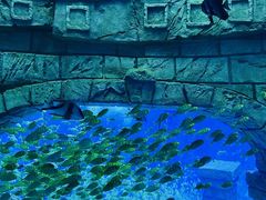 -临沂极地海洋王国