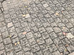 -秋霞圃