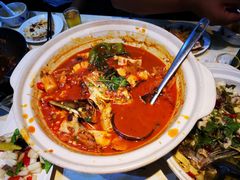 -魏铭鱼头捞饭(晋阳路店)