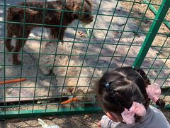 -嬉乐湾休闲旅游区