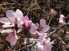 -碓臼峪自然风景区
