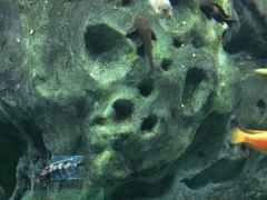 -常州海昌海洋探索馆