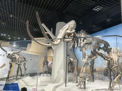 -国家自然博物馆