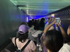 -白鹤梁水下博物馆