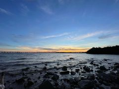 -宝安西湾红树林湿地公园