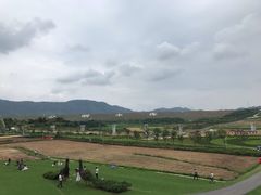 -光明小镇欢乐田园