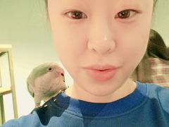 -藦茜花园宠物主题亲子互动体验馆(国顺东路店)