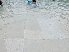 -重庆海昌加勒比海水世界