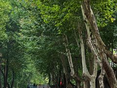 -西安电影制片厂