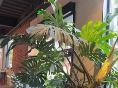 -J Create城市露营咖啡·简餐·宠物(上海动物园店)