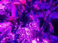 -沈阳海洋探索中心