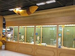 -帕帕拉兹宠物(亚洲旗舰店)