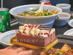 -哈根达斯(西安高新店)