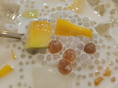 -汕中冰室