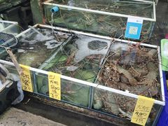 -拉威海鲜市场