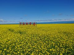 -青海湖国家重点风景名胜区
